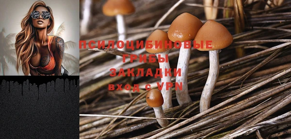 дмт Абдулино