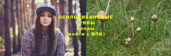 дмт Абдулино